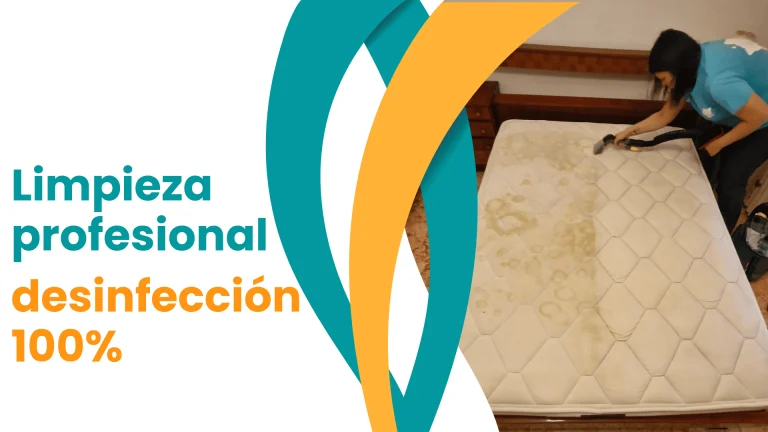 Limpieza de Colchones a domicilio Madrid mejores PRECIOS 2025 Limpieza de colchones a domicilio madrid