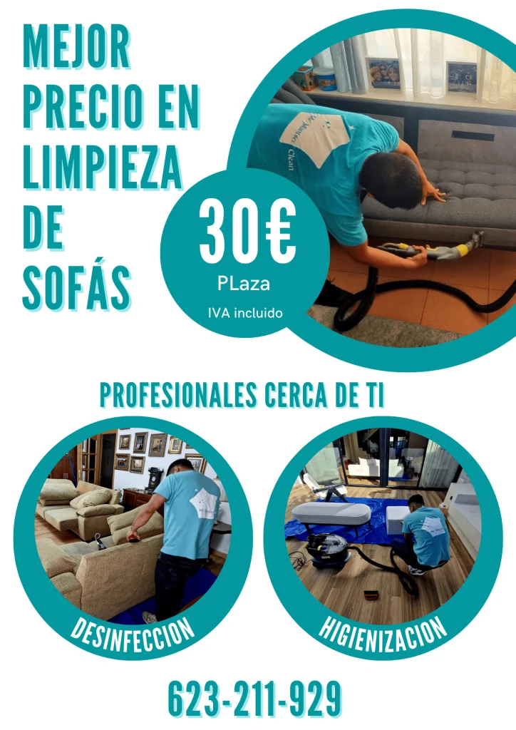 Limpieza de sofas a domicilio precio 2025 Limpieza de sofas a domicilio precio