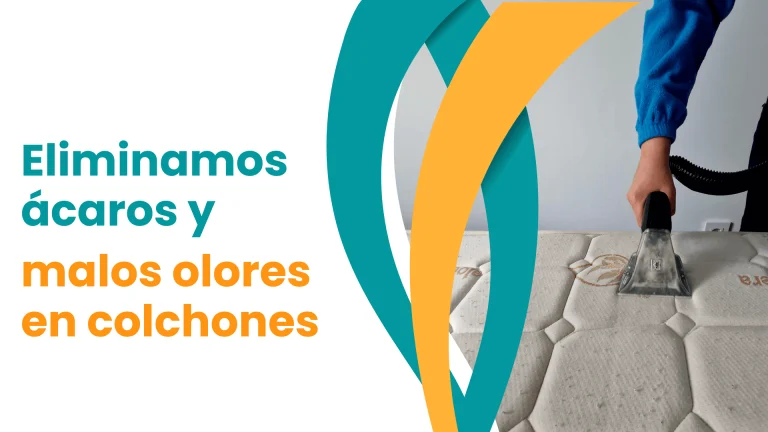 Limpieza de Colchones a domicilio Madrid mejores PRECIOS 2025 Limpieza y desinfeccion de colchones a domicilio
