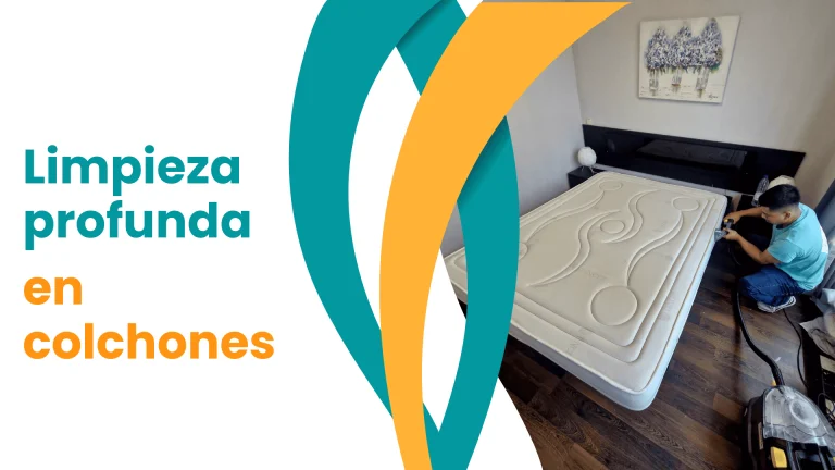 Precios de Limpieza de Sofás, Colchones y Alfombras a Domicilio Servicio de limpieza de colchones en madrid