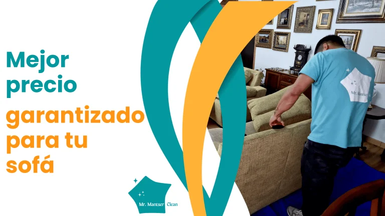 Limpieza de sofas a domicilio precio 2025 precio limpieza sofa a domicilio